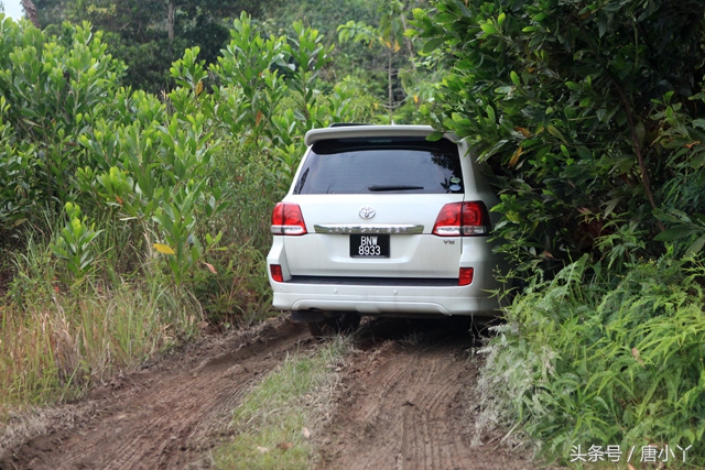鞋合不合适只有自己知道热带雨林体验将军轮胎