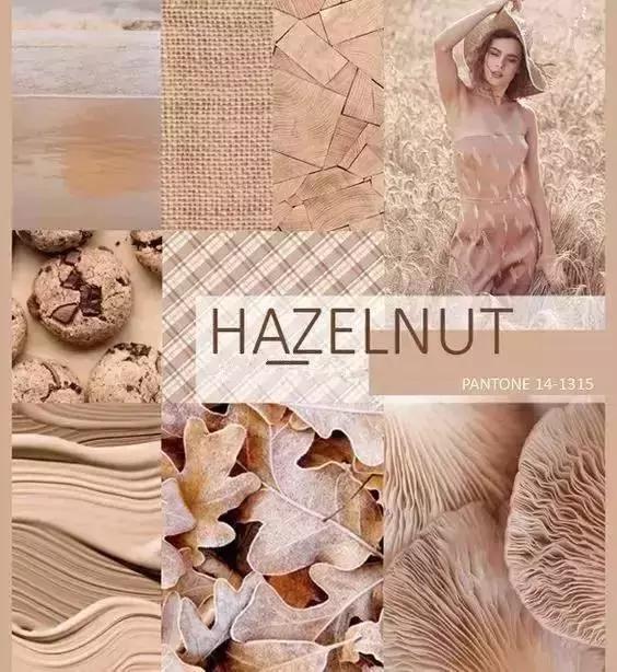 臻果褐,榛果深棕发色