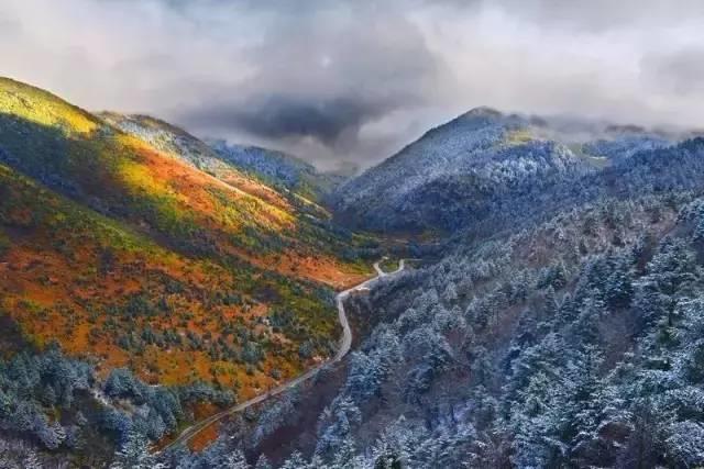 世界那么大,偏独爱神农架