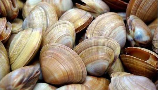 存在了上亿年不死的生物,全世界最可怕的十种不死生物