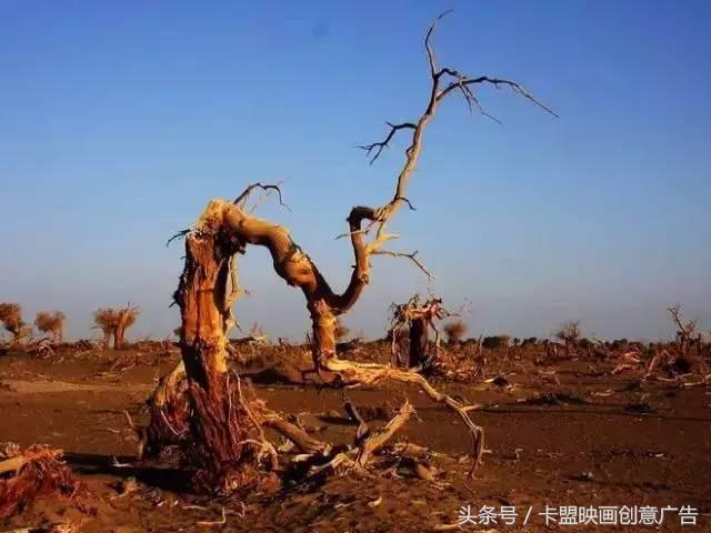 2万5千公里｜跨越半个中国，我们在路上等你