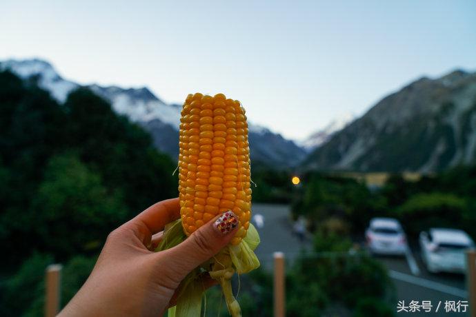 新西兰｜南岛自驾16天，那些衣食住行不完全攻略