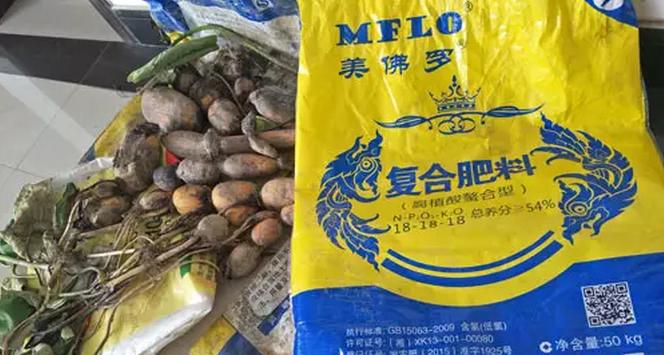 烂根死棵用什么菌最好,烂根施什么肥