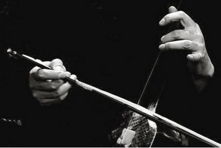 如何选购二胡弦的粗细型号,选购二胡正确的方法技巧