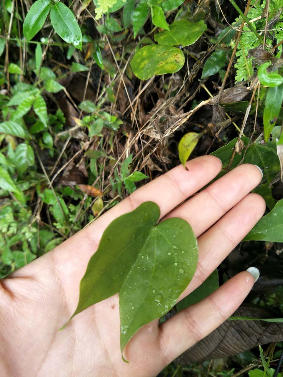 一路山水一路歌完整版,一路山水一路歌歌词