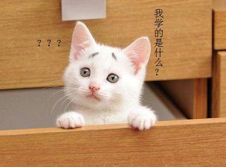 听起来很土但很有毕业前景的专业,四大高大上的专业毕业迷茫