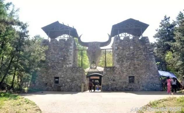 打彩弹的真人cs的地方,真人cs实弹和彩弹