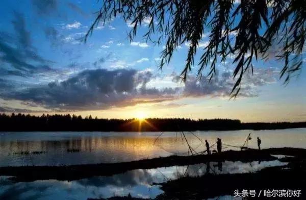 阿城有希望吗,阿城未来的发展