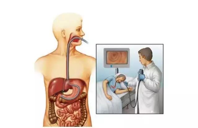 老人胃口差没食欲怎么调理,解决老人食欲差的方法