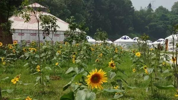 重庆周边海拔1500避暑农家乐,重庆荣昌附近哪里有好玩的农家乐