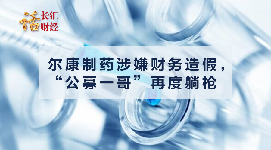 尔康制药财务造假中的审计问题,尔康制药财务造假审计责任