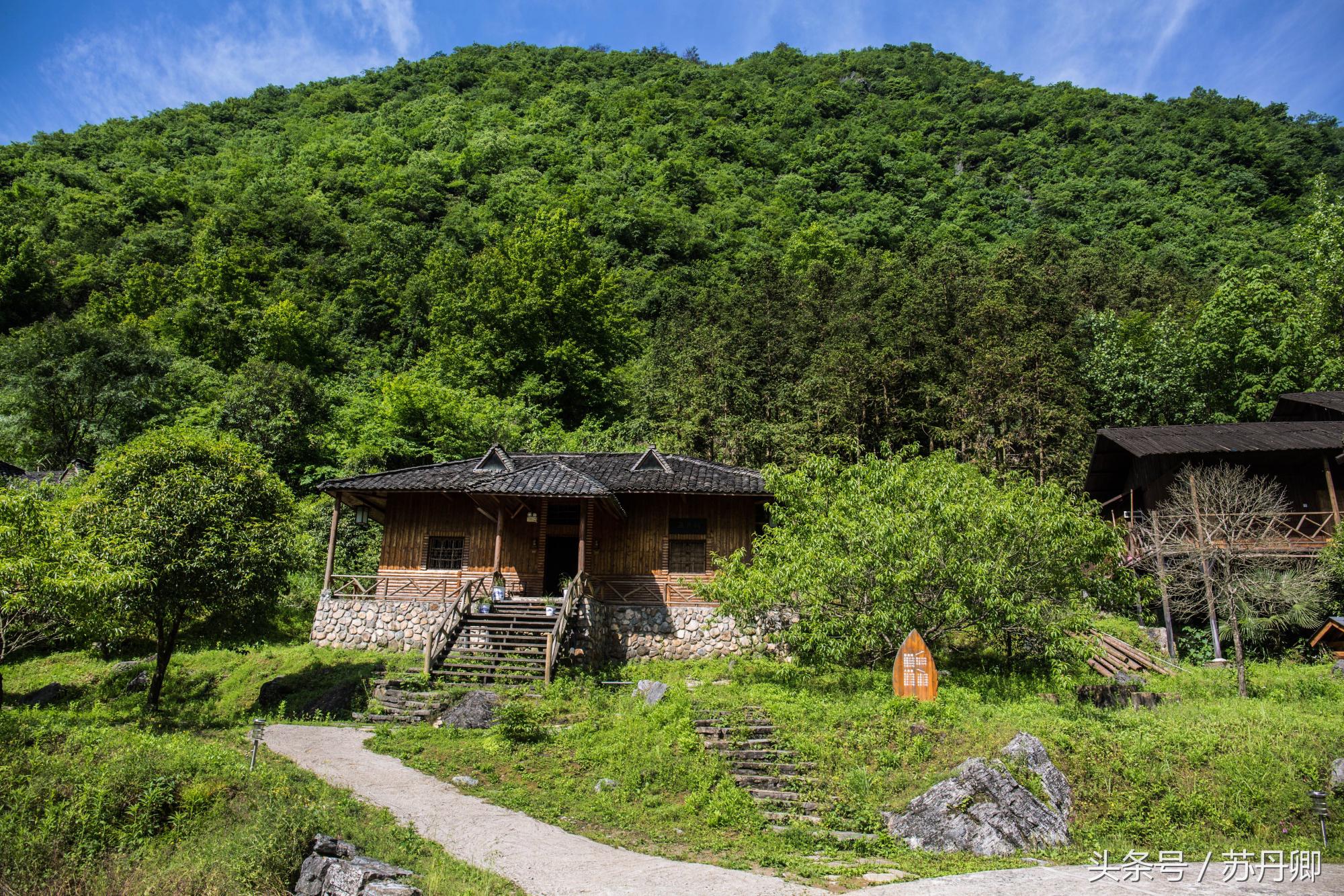 在水下洞穴探险,森林海自由潜水