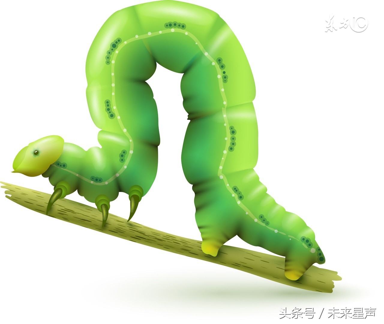 女生最害怕的这几种小动物，看看自己中招了没有