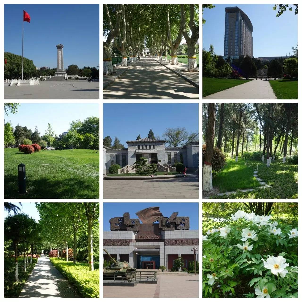 我用30万步,走遍石家庄公园