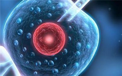 做试管婴儿到底有多遭罪?想要个孩子好难!真心心疼女性一万遍!