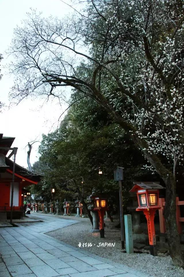 关西京都一日游攻略,日本关西旅行记录京都篇