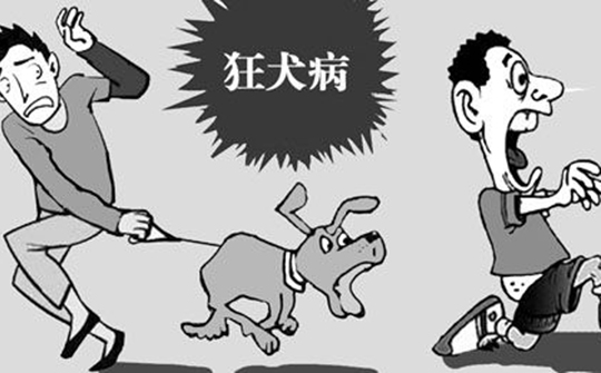 狂犬病要被发作的动物咬到才有吗,动物没有狂犬病咬人会得狂犬病吗
