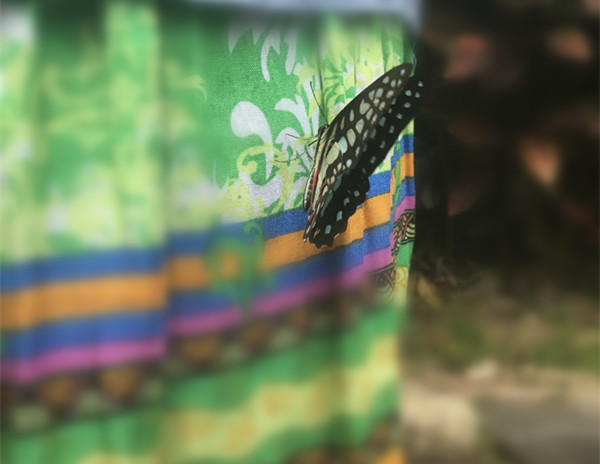 三亚自由行含机票豪华游艇体验,三亚自由行旅游必备