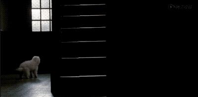 凶宅有诡异现象,凶宅的诡异秘密