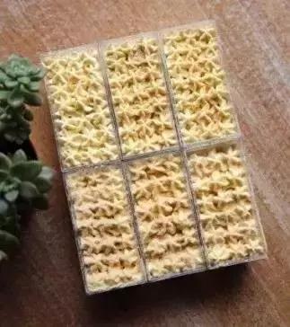 黄埔长洲岛美食,黄埔星期天集市