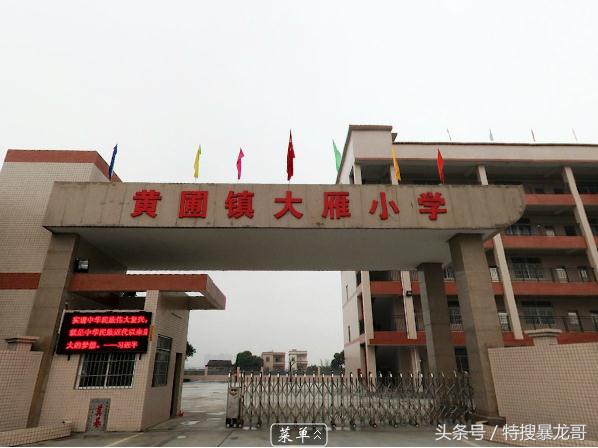 黄圃镇最好的小学,黄圃镇哪几个小学最好