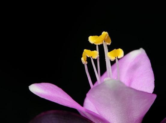 之前流产过现在怀孕注意什么,以前流产过的孕前检查必要项目