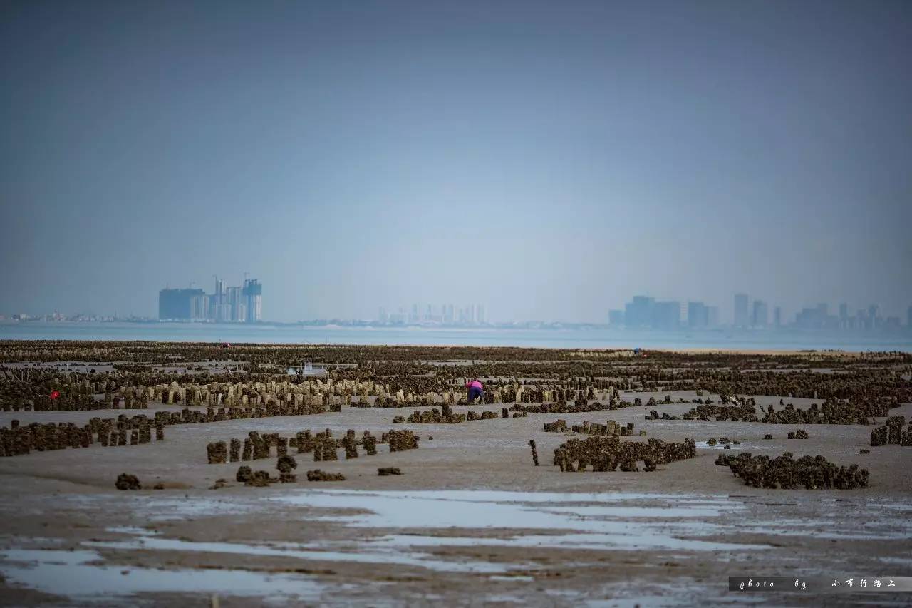 金门一日游攻略,厦门到金门一日游