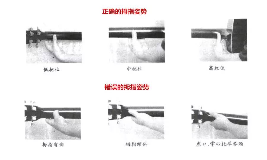 新手掌握的8个和弦,新手入门学会这7个常见的和弦