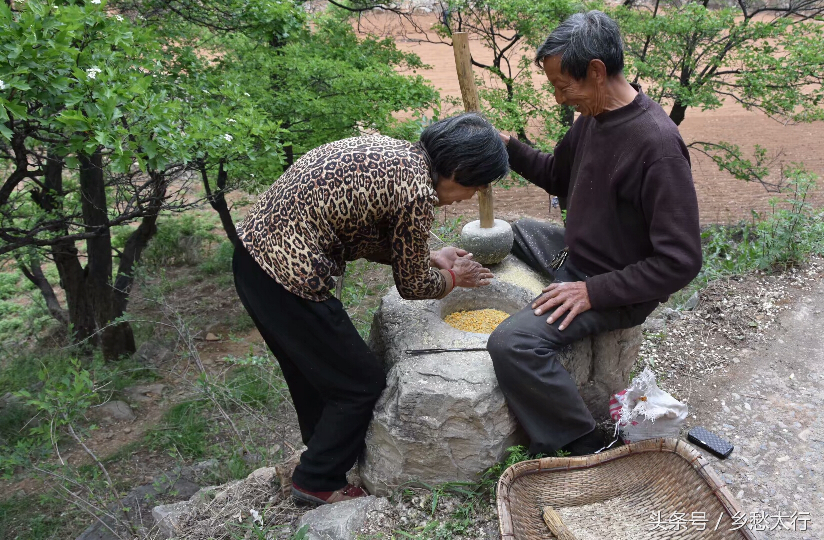 黍米面的做法大全简单又好吃,甘肃黄米面条的家常做法