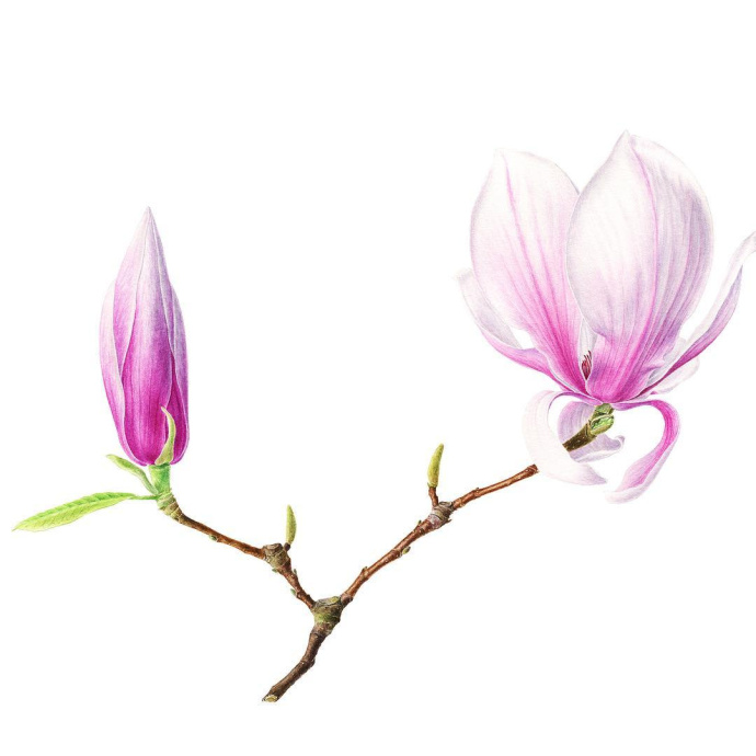 支原体感染，还能正常备孕吗？