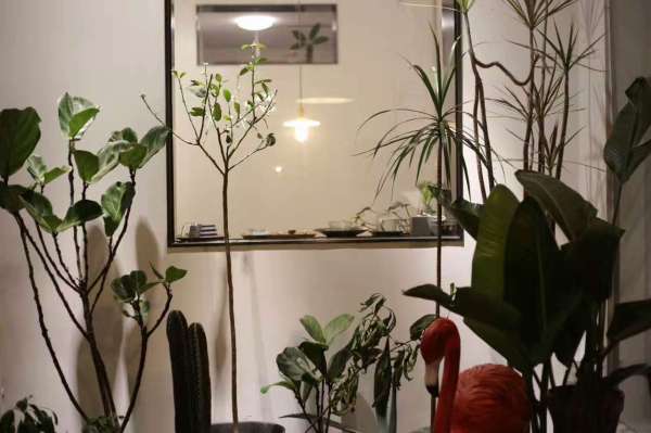 他将厦门的民宅改造成烘焙馆，每周邀请100位陌生人喝精品咖啡