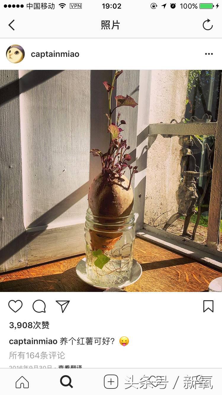 扒开女明星的化妆包|看完倪妮的化妆品我觉得井柏然养不起她