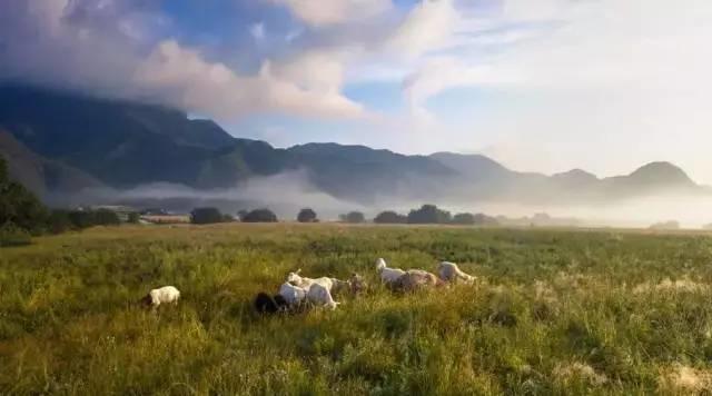 世界那么大,偏独爱神农架