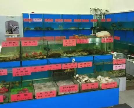 东莞老字号吃海鲜的店,东莞最好吃的海鲜