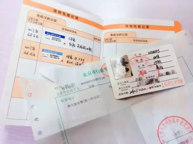 办狗证疑问在线解答,福州狗证办理多长时间能拿到狗证