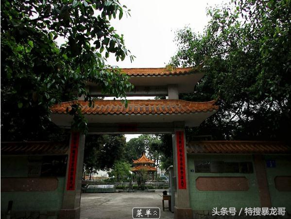 黄圃镇最好的小学,黄圃镇哪几个小学最好