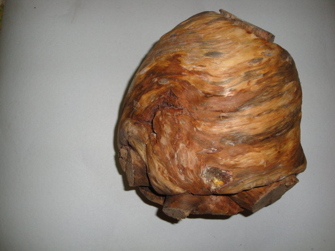 既能祛风湿又能强筋骨的药,五加皮治疗风湿关节的正确用法