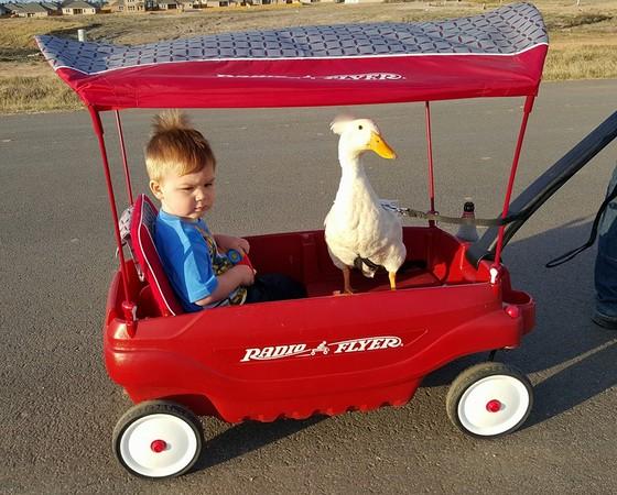 男宝宝小游戏玩具,男宝宝小游戏