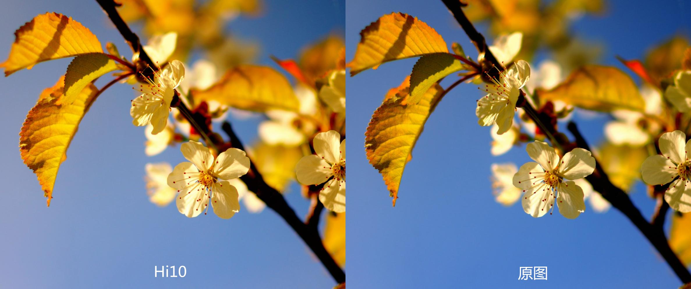 椹颁负hi10pro,椹颁负hi10骞虫澘鎵╁