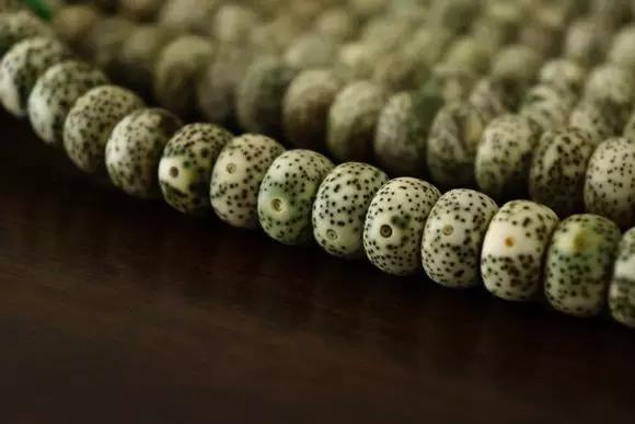 阴皮星月和灵玉星月区别,星月阴皮和白皮后期