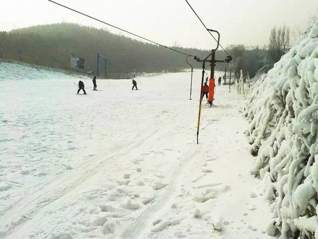 郑州春节滑雪好玩的地方排行榜,郑州桃花峪滑雪场门票