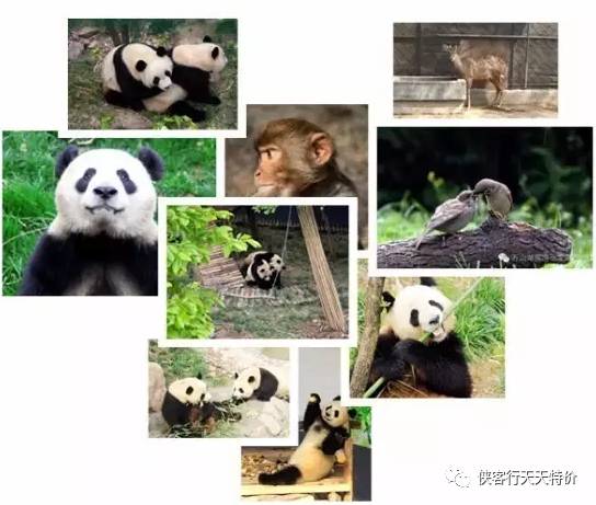 高温天气郑州,郑州高温哪里避暑