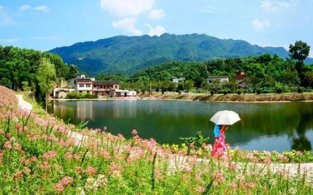 再上4天班就放假了吗,重庆放假最新通知