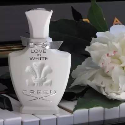 樊姐送关关的香水,樊姐送给关关什么香水