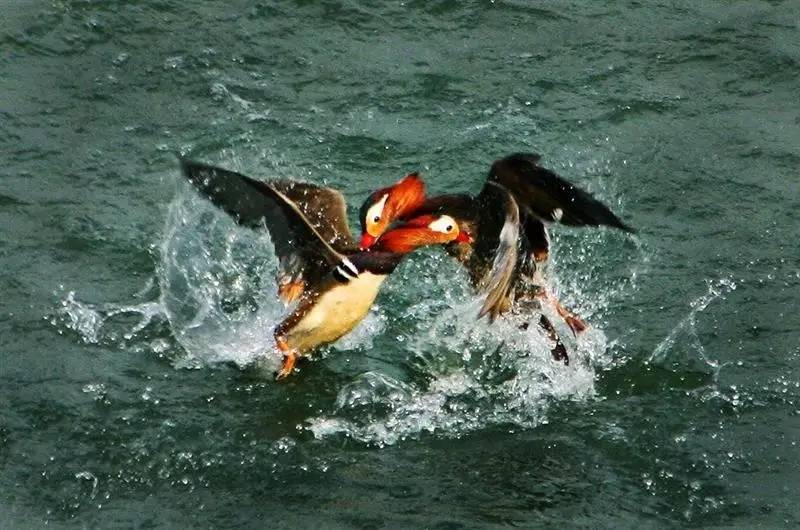 约惠旅游攻略,约惠旅游