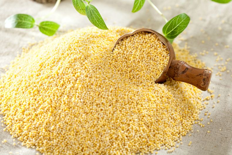 小米粥是个好东西,感冒喝小米粥好还是喝大米粥好