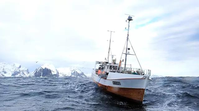 澳洲三种特别好吃的鱼,除了北冰洋还有什么洋