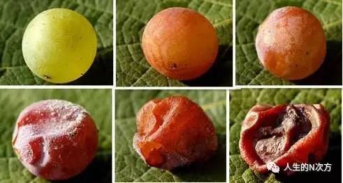 一点通理论技巧,一点通演讲