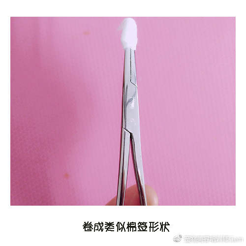 宠物耳道清洁,宠物美容学校30天能学到什么