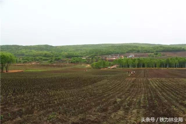 走进森林空气格外清新,走进天然氧吧呼吸新鲜空气